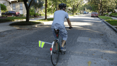 Cyclist riding on a quiet residential street with trees and parked cars, viewed from behind during a daytime bike commute.