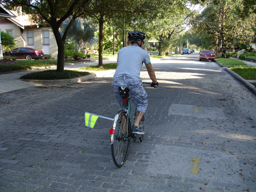 Cyclist riding on a quiet residential street with trees and parked cars, viewed from behind during a daytime bike commute.