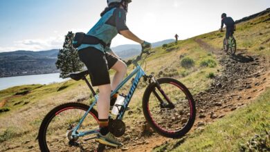 Mountain bikes under 500 riding uphill on a rocky trail, showing a budget-friendly hardtail mountain bike being used for recreational off-road cycling in a scenic outdoor landscape.