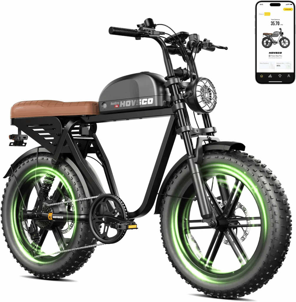 HOVSCO retro electric bike for heavy riders with fat tyres